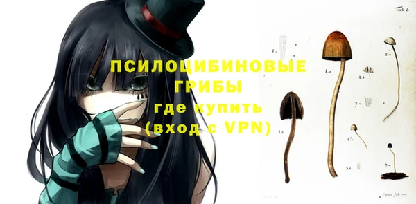 наркотики Белокуриха