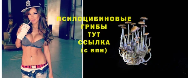 марки nbome Ладушкин