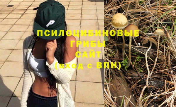 дживик Белоозёрский