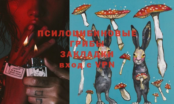 ГАЛЛЮЦИНОГЕННЫЕ ГРИБЫ Беломорск
