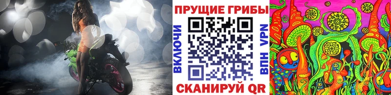 Галлюциногенные грибы GOLDEN TEACHER  Вытегра 